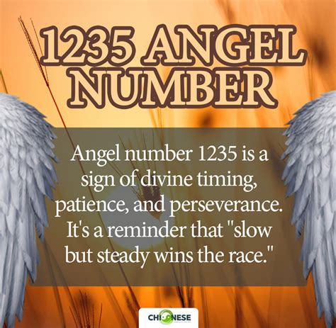 1235 angel number twin flame|1235 Angel Number: Meaning and Symbolism